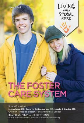 The Foster Care System by Joyce Libal