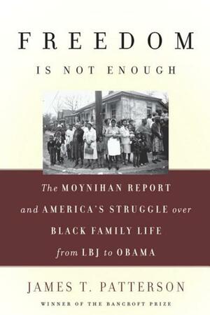 Freedom Is Not Enough: The Moynihan Report and America's Struggle Over Black Family Life--From LBJ to Obama by James T. Patterson