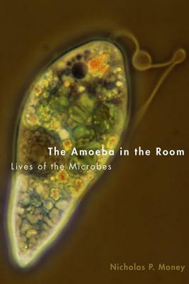 The Amoeba in the Room: Lives of the Microbes by Nicholas P. Money