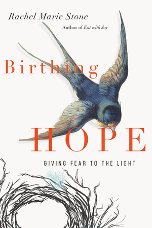 Birthing Hope: Giving Fear to the Light by Rachel Marie Stone