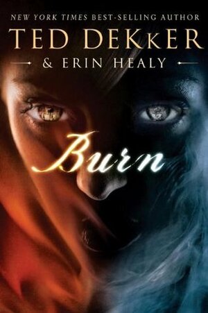 Burn by Erin Healy, Ted Dekker