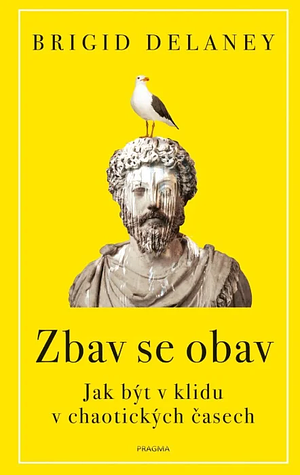 Zbav se obav : jak být v klidu v chaotických časech by Brigid Delaney