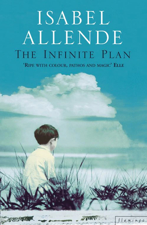 The Infinite Plan by Isabel Allende