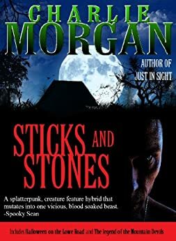 Sticks and Stones by Charlie Morgan