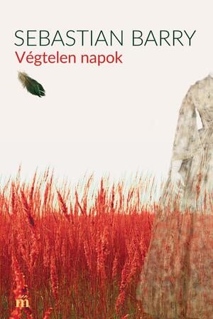 Végtelen napok by Sebastian Barry