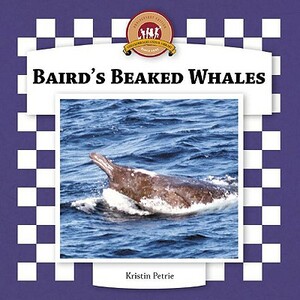 Baird's Beaked Whales by Kristin Petrie