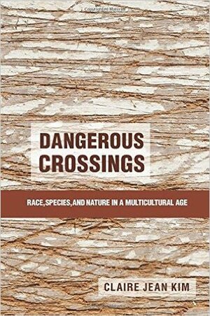 Dangerous Crossings by Claire Jean Kim