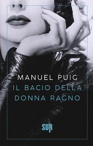 Il bacio della donna ragno by Manuel Puig