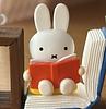 starmiffy's profile picture