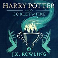 Harry Potter and the Goblet of Fire by J.K. Rowling