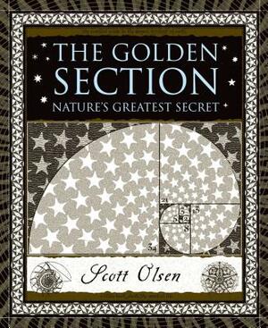 The Golden Section: Nature's Greatest Secret by Scott Olsen