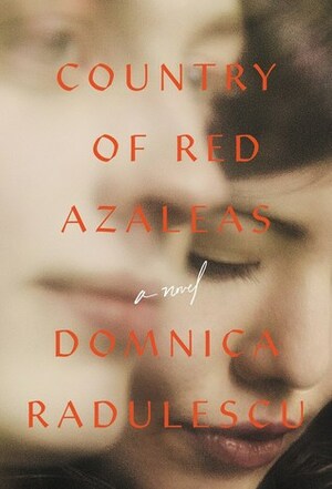 Country of Red Azaleas by Domnica Radulescu