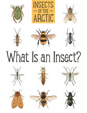 Insects of the Arctic (English): What Is an Insect? by Carolyn Mallory