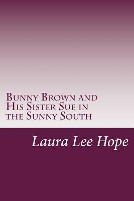 Bunny Brown and His Sister Sue in the Sunny South by Laura Lee Hope