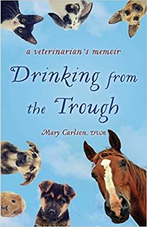 Drinking from the Trough by Mary Carlson