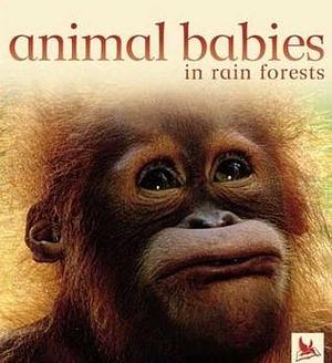 Animal Babies in Forests by Kingfisher Publications, Kingfisher Publications, Kingfisher Publications