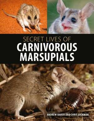 Secret Lives of Carnivorous Marsupials by Andrew Baker, Chris Dickman