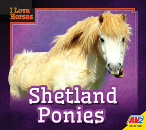 Shetland Ponies by Maria Koran