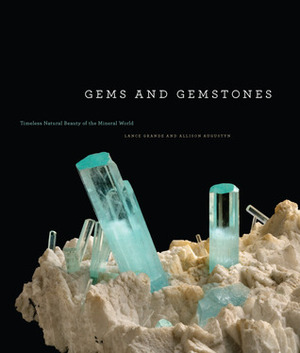 Gems and Gemstones: Timeless Natural Beauty of the Mineral World by Lance Grande, Allison Augustyn