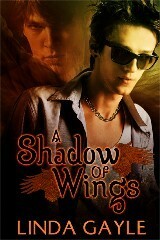 A Shadow of Wings by Linda Gayle