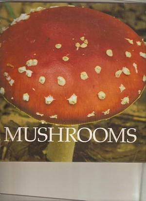 Mushrooms by Peter Murray