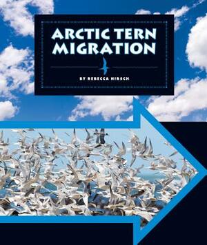 Arctic Tern Migration by Rebecca Hirsch