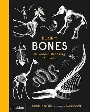 Book of Bones: 10 Record-Breaking Animals by Gabrielle Balkan, Sam Brewster
