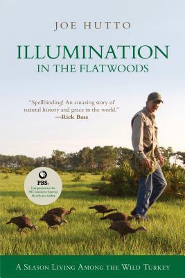 Illumination in the Flatwoods: A Season with the Wild Turkey by Joe Hutto