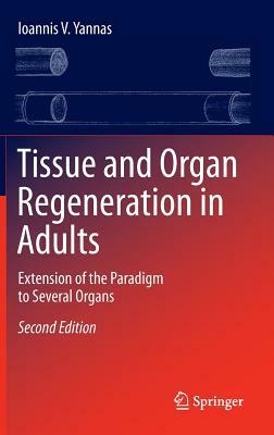 Tissue and Organ Regeneration in Adults: Extension of the Paradigm to Several Organs by Ioannis V. Yannas