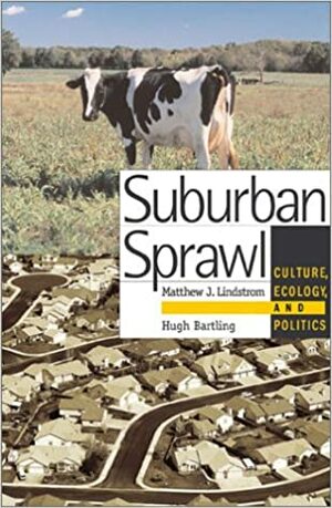 Suburban Sprawl: Culture, Theory, and Politics by Matt Lindstrom