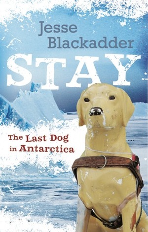 Stay: The Last Dog in Antarctica by Jesse Blackadder