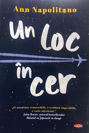 Un loc în cer by Ann Napolitano, Ann Napolitano