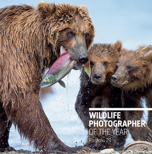 Wildlife Photographer of the Year: Portfolio 29 by 