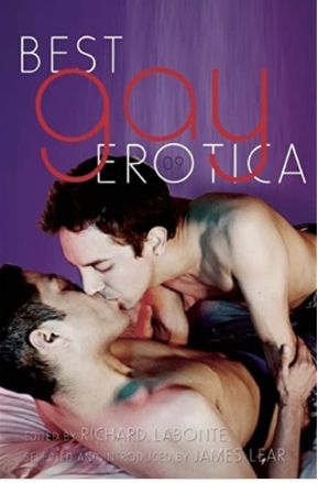 Best Gay Erotica 2009 by James Lear, Richard Labonté