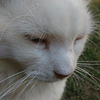 kyriaki13's profile picture
