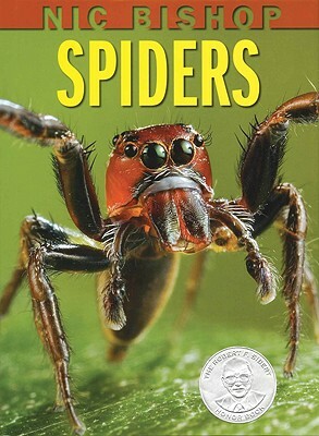 Nic Bishop: Spiders by Nic Bishop