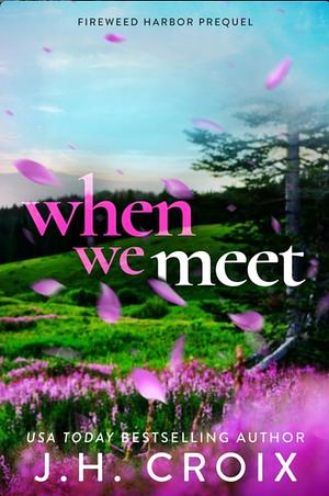 When We Meet by J.H. Croix