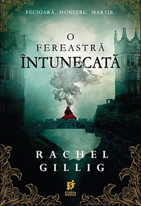 O fereastră întunecată by Rachel Gillig