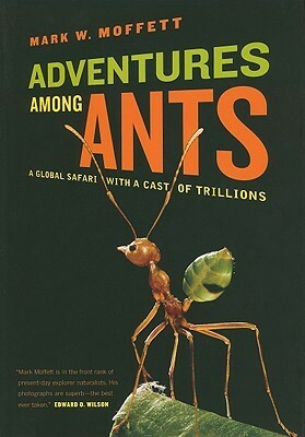 Adventures Among Ants, A Global Safari with a Cast of Trillions by Mark W. Moffett