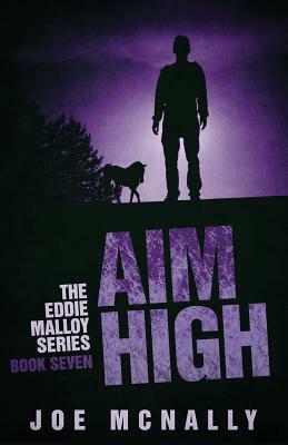 Aim High by Joe McNally