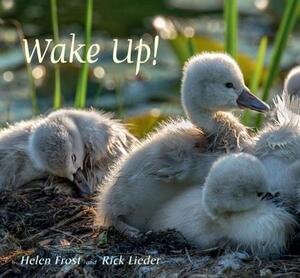 Wake Up! by Helen Frost