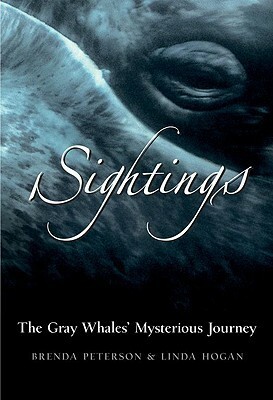 Sightings: The Gray Whales' Mysterious Journey by Brenda Peterson, Linda Hogan