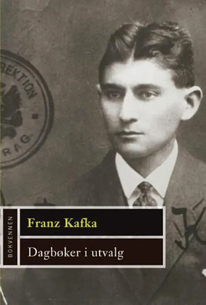 Dagbøker i utvalg by Franz Kafka