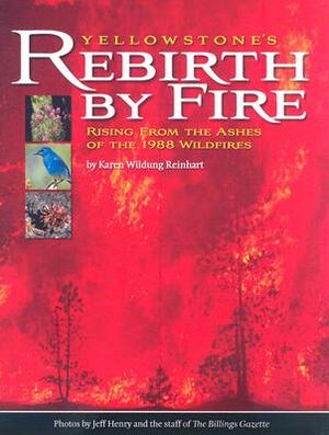 Yellowstone's Rebirth by Fire: Rising from the Ashes of the 1988 Wildfires by Karen Wildung Reinhart