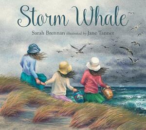 Storm Whale by Sarah Brennan