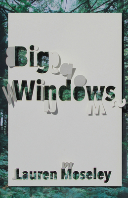 Big Windows by Lauren Moseley