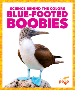 Blue-Footed Boobies by Alicia Z. Klepeis