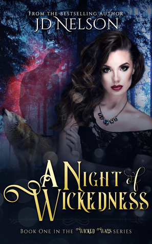 A Night of Wickedness by J.D. Nelson