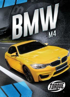 BMW M4 by Nathan Sommer