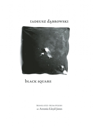Black Square by Antonia Lloyd-Jones, Tadeusz Dąbrowski